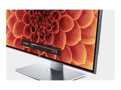 Dell UltraSharp UP3218KA - LED-Monitor - 80.1 cm (31.5")