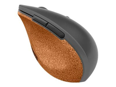 Lenovo Go - Maus - ergonomisch - optisch blau - 6 Tasten - kabellos - 2.4 GHz - kabelloser Empfänger (USB)