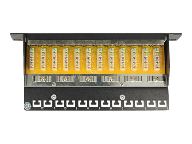 Delock Patch Panel - RJ-45 X 12 - Schwarz - 1U - 25.4 cm (10")