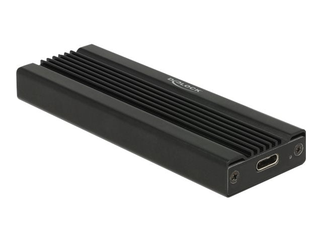 Delock Speichergehäuse - M.2 Card - USB 3.1 (Gen 2)