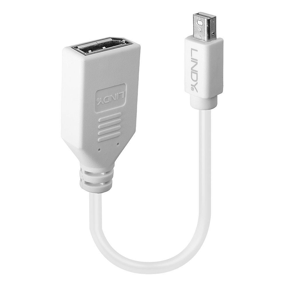 Lindy DisplayPort-Adapter - Mini DisplayPort (M)