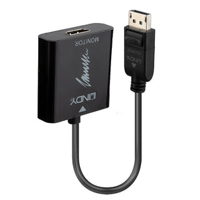 Lindy Video- / Audio-Adapter - DisplayPort (M)