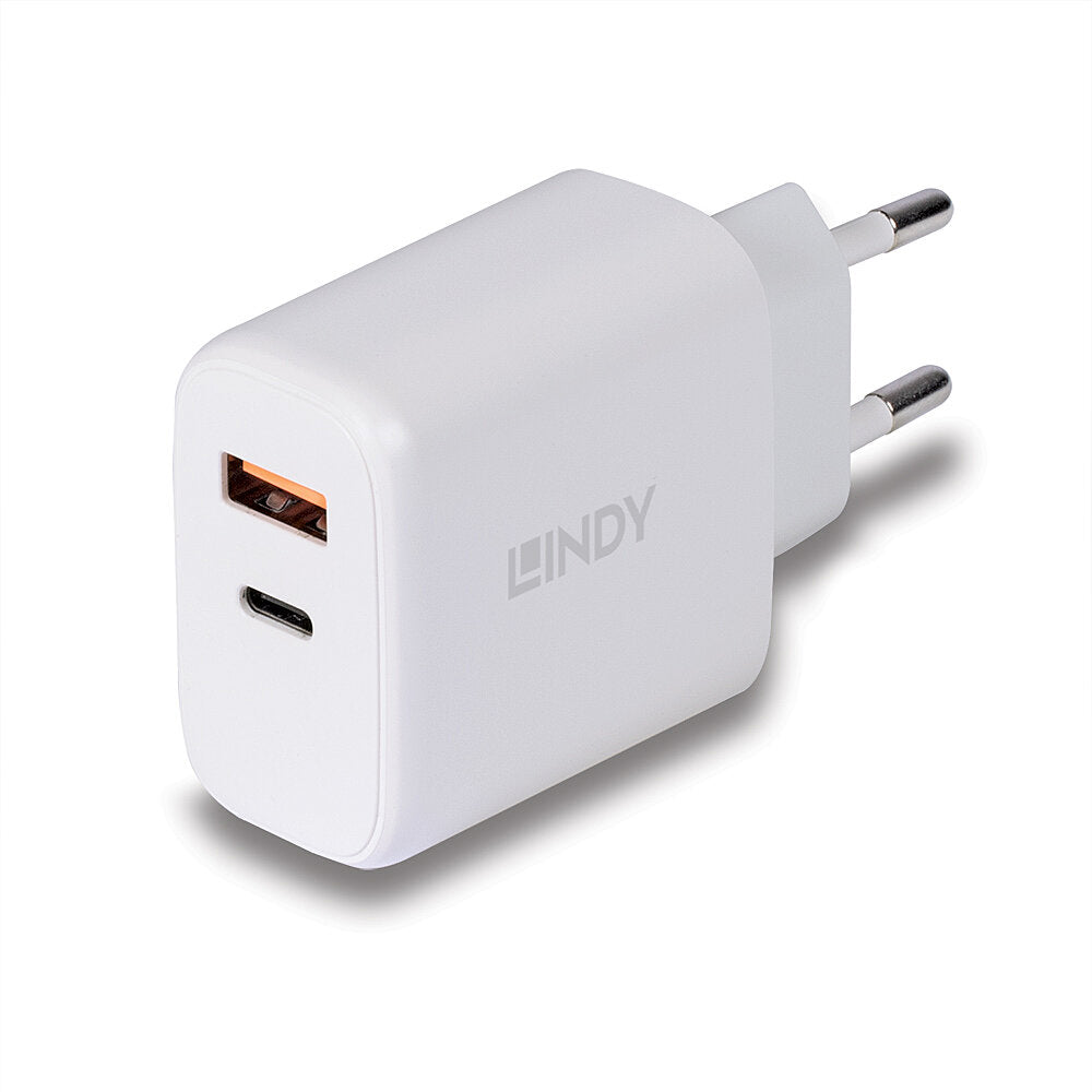 Lindy Netzteil - 30 Watt - 3 A - PD 3.0 - 2 Ausgabeanschlussstellen (4-polig USB Typ A / 24-polig USB-C)