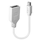 Lindy DisplayPort-Adapter - Mini DisplayPort (M)