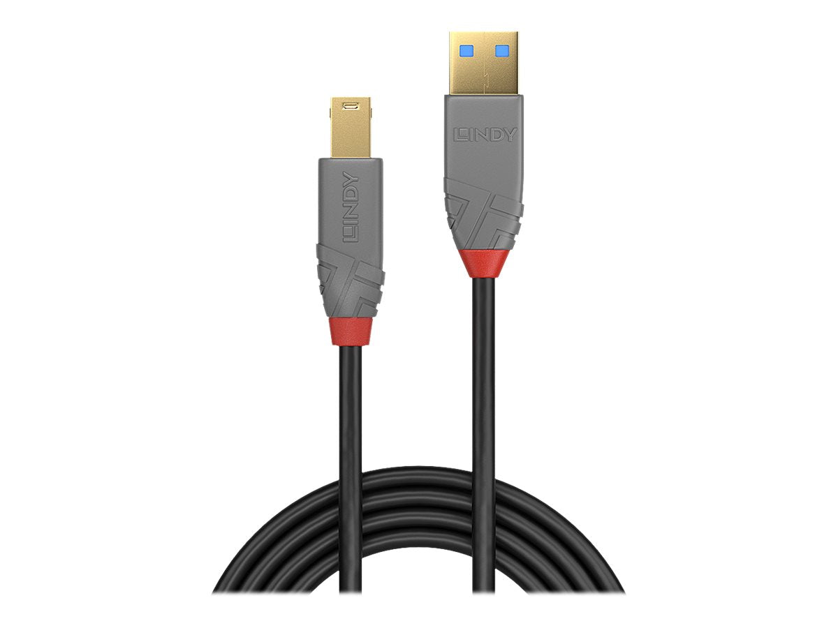 Lindy Anthra Line - USB-Kabel - USB Typ A (M)