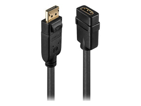 Lindy Video- / Audio-Adapter - DisplayPort (M)