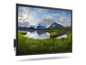 Dell P6524QT - 164 cm (65") Diagonalklasse (163.906 cm (64.53")