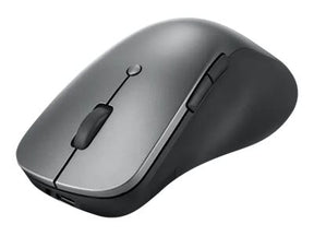 Lenovo Professional - Maus - ergonomisch - optisch blau