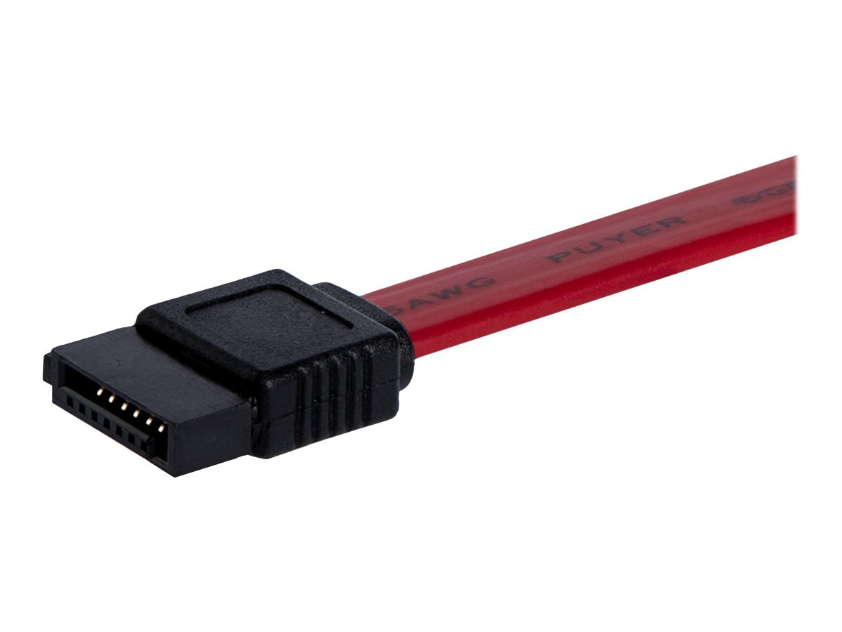 StarTech.com 30 cm SATA Serielles ATA-Kabel - S-ATA Anschlusskabel - Bu/Bu - SATA-Kabel - Serial ATA 150/300 - SATA (W)