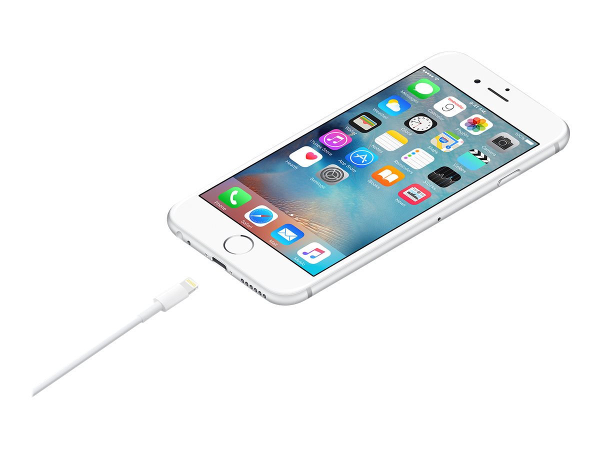 Apple Lightning-Kabel - Lightning männlich zu USB männlich