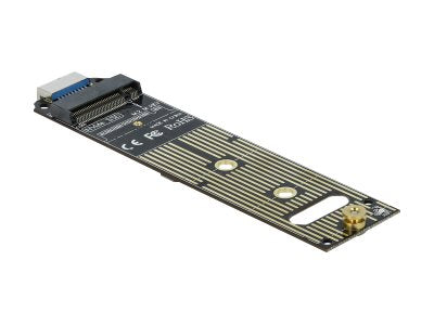 Delock Speicher-Controller - M.2 - M.2 NVMe Card - 10 Gbit/s - USB 3.1 (Gen 2)