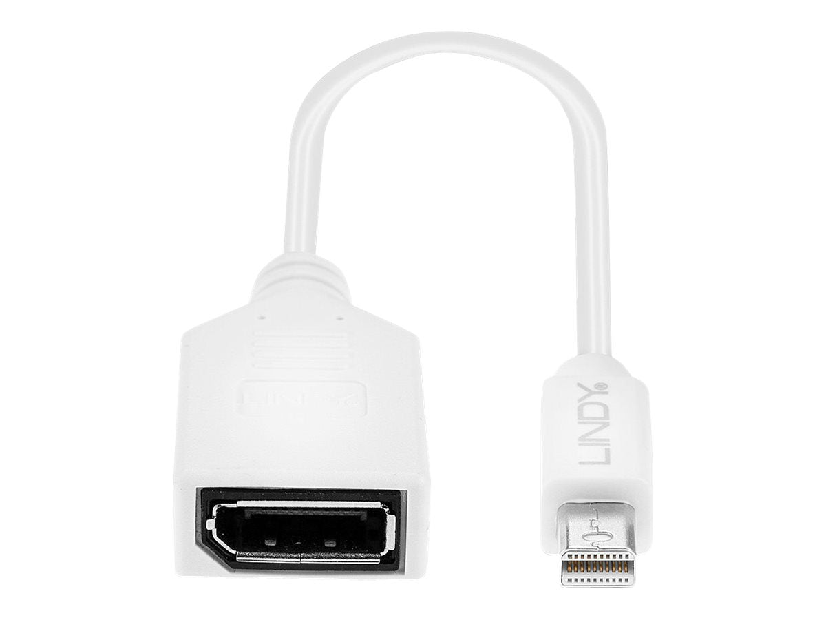 Lindy DisplayPort-Adapter - Mini DisplayPort (M)