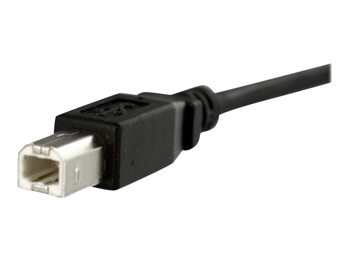 StarTech.com 30 cm USB B auf B Kabel zur Slotbelch Montage – Buchse/Stecker - USB-Kabel - USB Typ B (W)