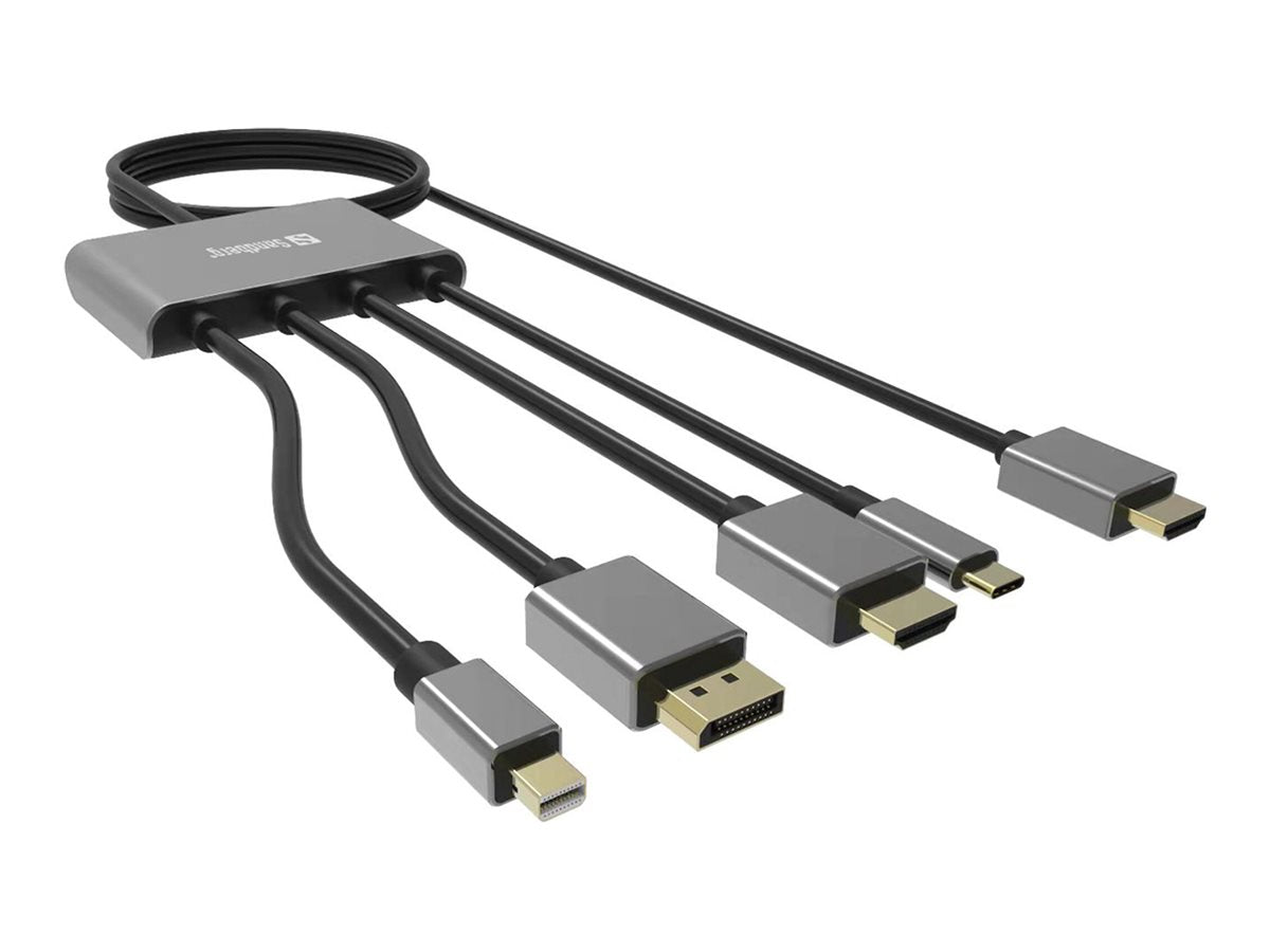 SANDBERG All-In-1 Display Adapter Hub - Videoadapter