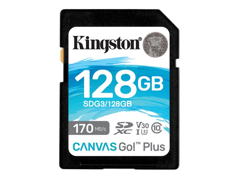 Kingston Canvas Go! Plus - Flash-Speicherkarte