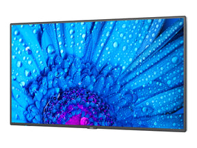 NEC Display MultiSync M431 - 108 cm (43") Diagonalklasse M Series LCD-Display mit LED-Hintergrundbeleuchtung - Digital Signage - 4K UHD (2160p)