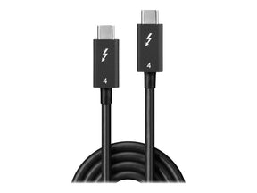 Lindy USB-Kabel - 24 pin USB-C (M) zu 24 pin USB-C (M)