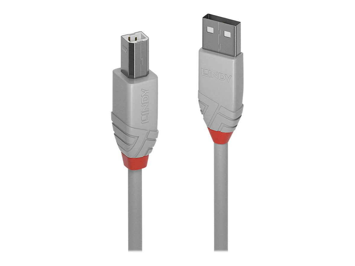 Lindy Anthra Line - USB-Kabel - USB (M) bis USB Typ B (M)