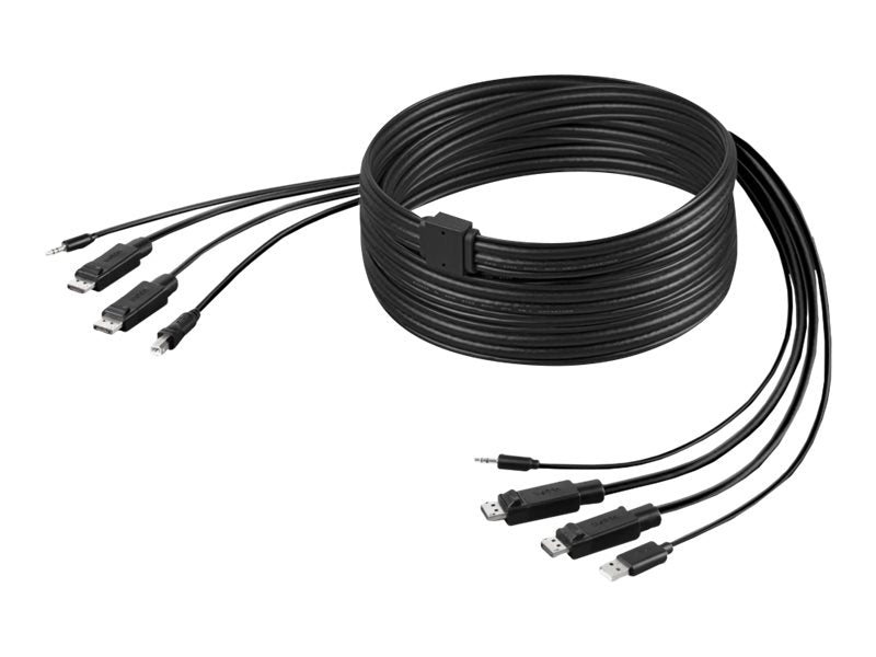 Belkin Secure KVM Combo Cable - Tastatur- / Video- / Maus- / Audio-Kabel - TAA-konform - USB, Mini-Stecker, DisplayPort (M)