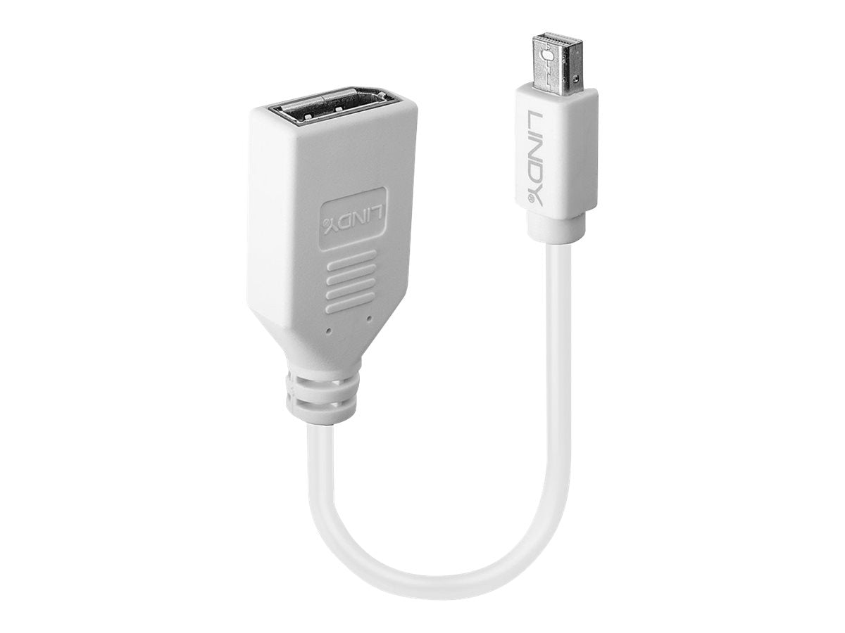 Lindy DisplayPort-Adapter - Mini DisplayPort (M)