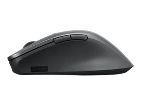 Lenovo Professional - Maus - ergonomisch - optisch blau