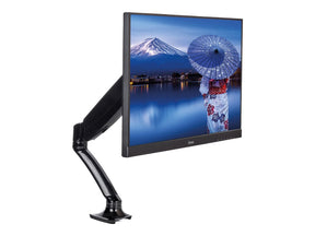 Iiyama DS3001C-B1 - Befestigungskit - für Monitor (einstellbarer Arm)