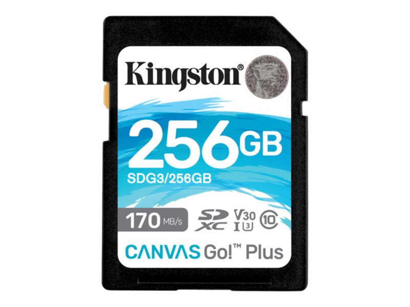 Kingston Canvas Go! Plus - Flash-Speicherkarte