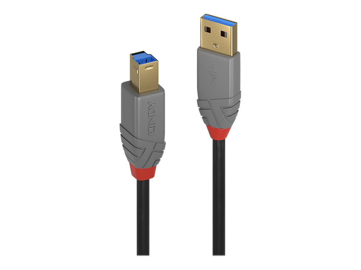 Lindy Anthra Line - USB-Kabel - USB Typ A (M)