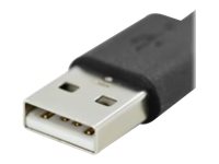 DIGITUS ASSMANN - USB-Kabel - USB (M) bis USB-C (M)