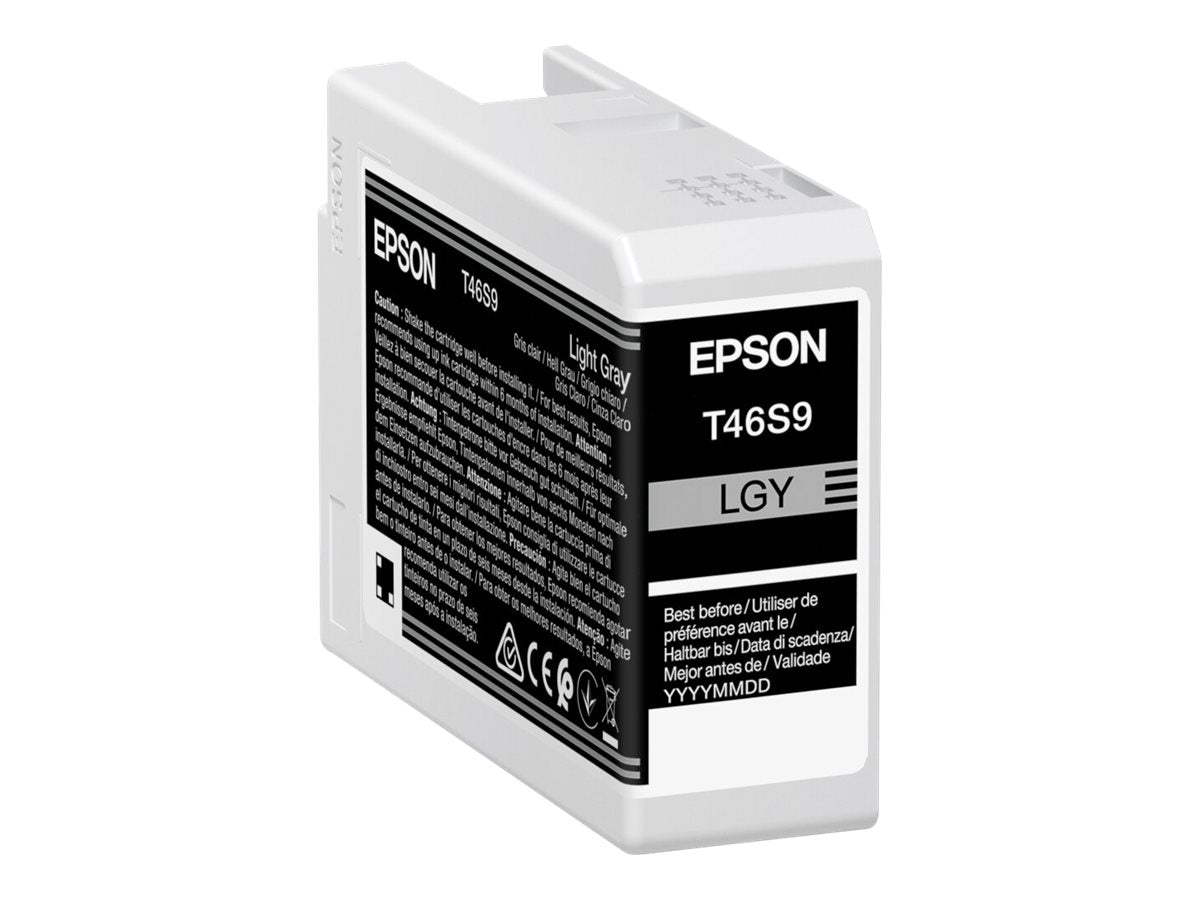 Epson UltraChrome Pro T46S9 - 25 ml - Hellgrau