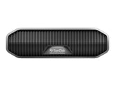 SANDISK PROFESSIONAL SanDisk - Festplatte - Enterprise - 6 TB - extern - USB 3.2 Gen 2 (USB-C Steckverbinder)