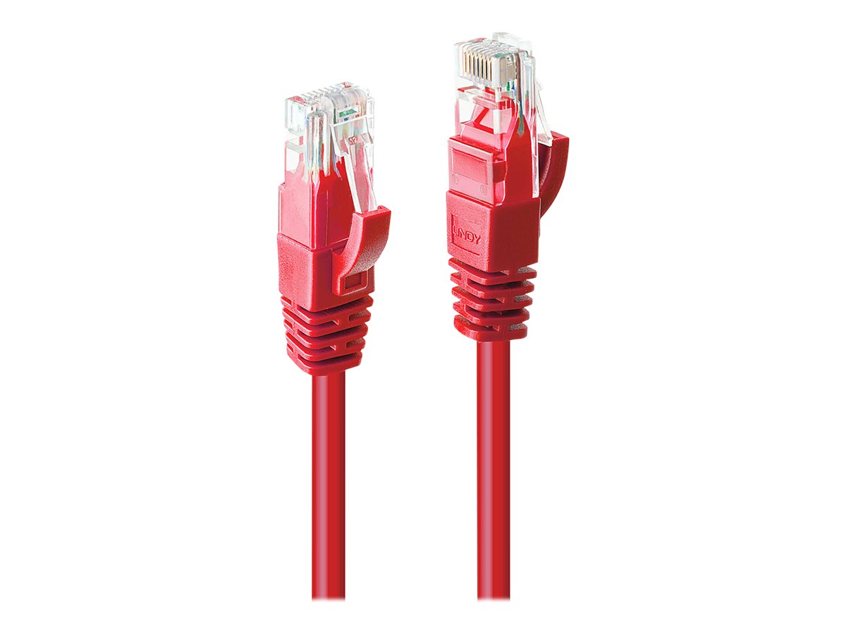 Lindy Patch-Kabel - RJ-45 (M) bis RJ-45 (M)