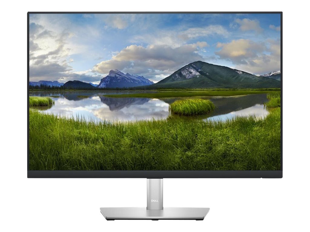 Dell P2423 - LED-Monitor - 61 cm (24") - 1920 x 1200 WUXGA @ 60 Hz