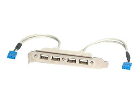 StarTech.com 4 Port USB 2.0 Buchse Slotblech Adapter mit 2x 10-Pin Mainboard Header - USB-Konsole - USB (W)