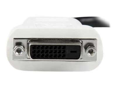 StarTech.com DisplayPort Adapter auf DVI - DP (Stecker)