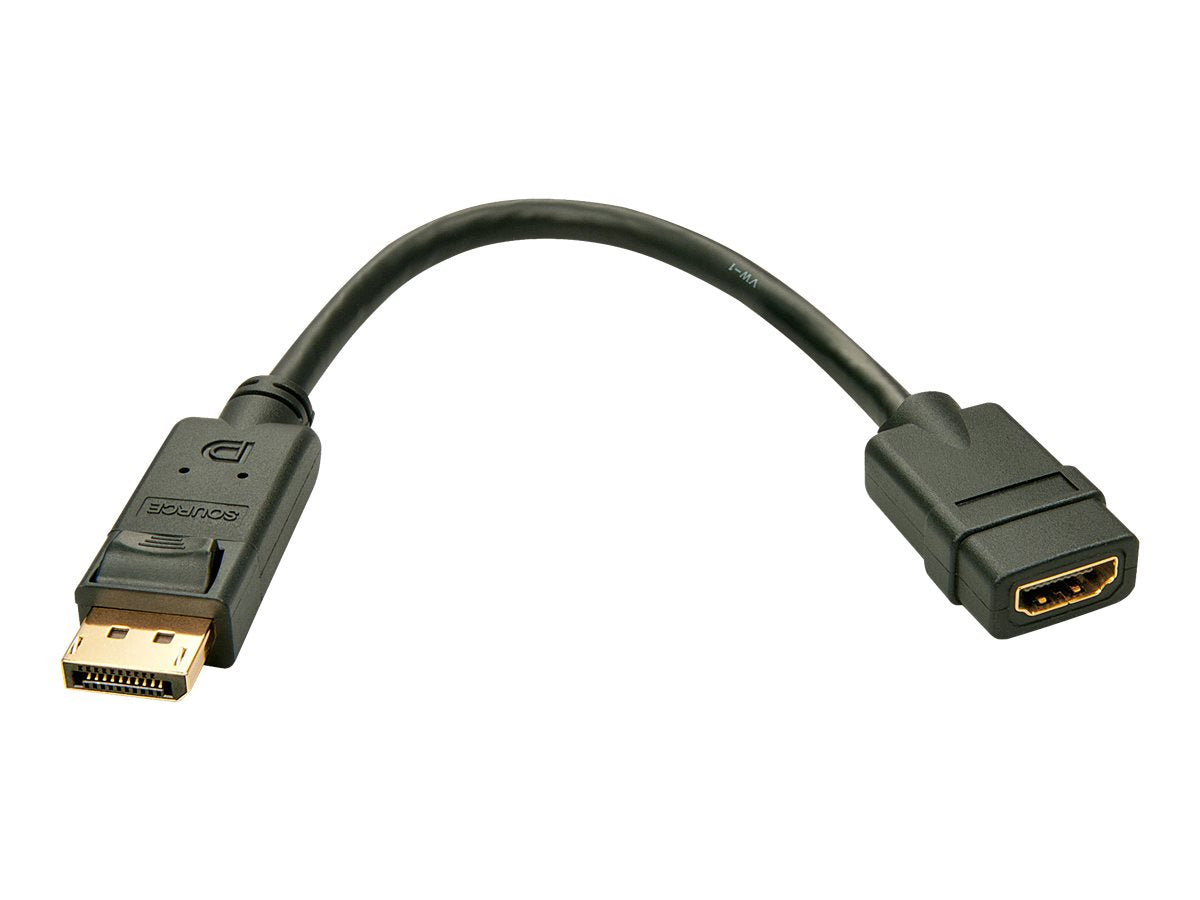 Lindy Video- / Audio-Adapter - DisplayPort (M)