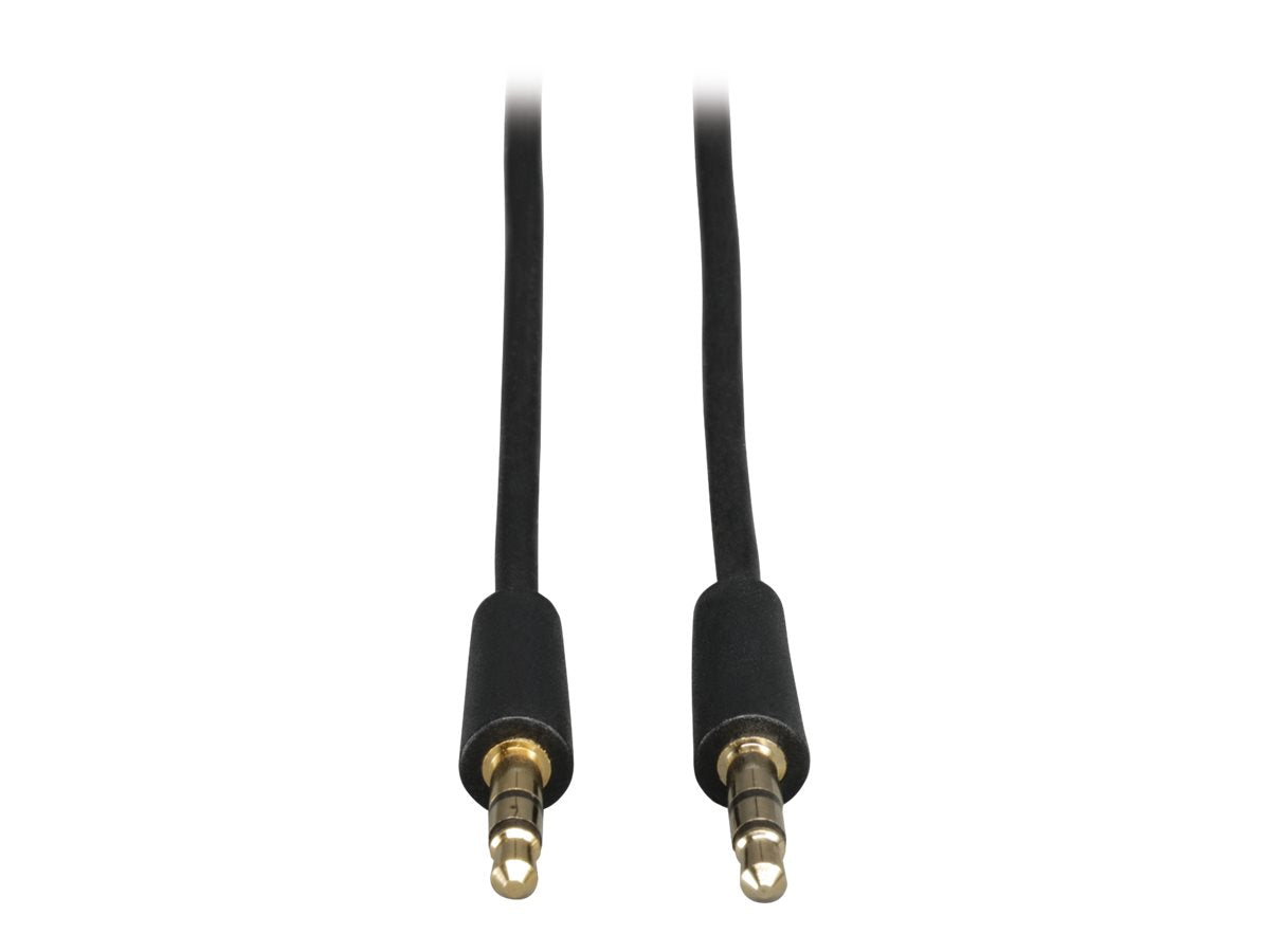 Tripp Eaton Tripp Lite Series 3.5mm Mini Stereo Audio Cable for Microphones, Speakers and Headphones (M/M)