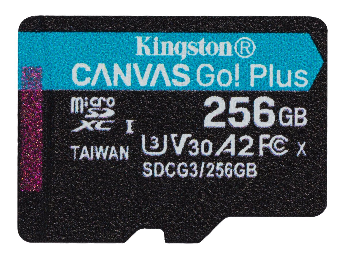 Kingston Canvas Go! Plus - Flash-Speicherkarte