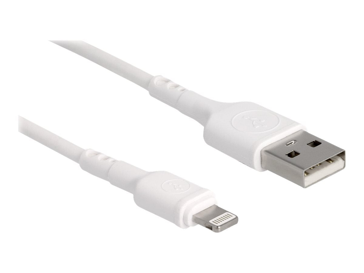 Delock Lightning-Kabel - USB männlich zu Lightning männlich