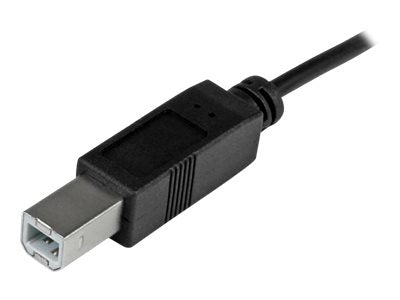 StarTech.com 1m USB 2.0 USB-C auf USB-B Kabel - USB Anschlusskabel - USB-Kabel - USB-C (M)