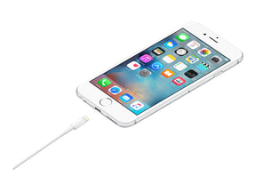 Apple Lightning-Kabel - Lightning männlich bis USB männlich - 50 cm - für iPad/iPhone/iPod (Lightning)