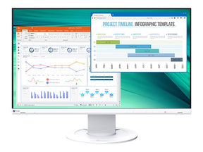 EIZO FlexScan EV2460 - LED-Monitor - 60.5 cm (23.8")