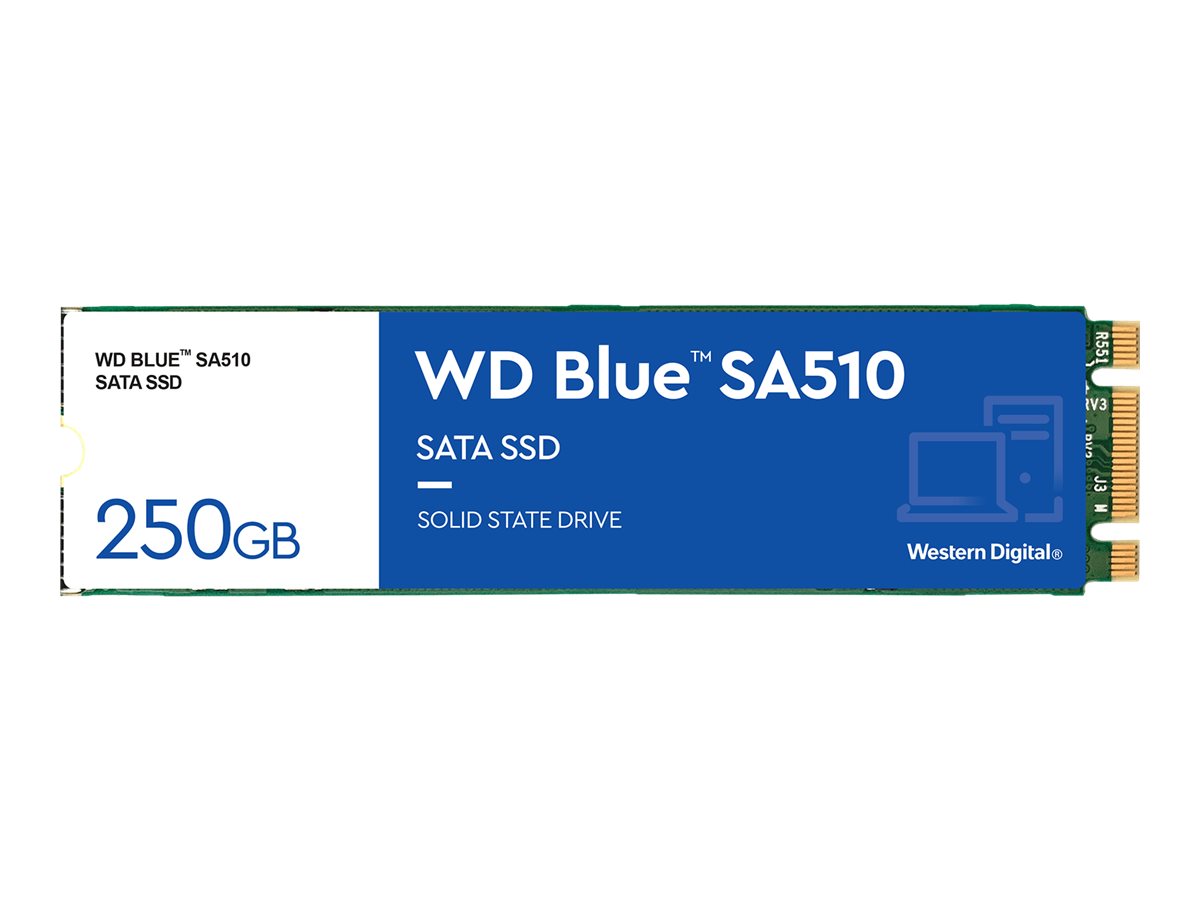 WD Blue SA510 WDS250G3B0B - SSD - 250 GB - intern