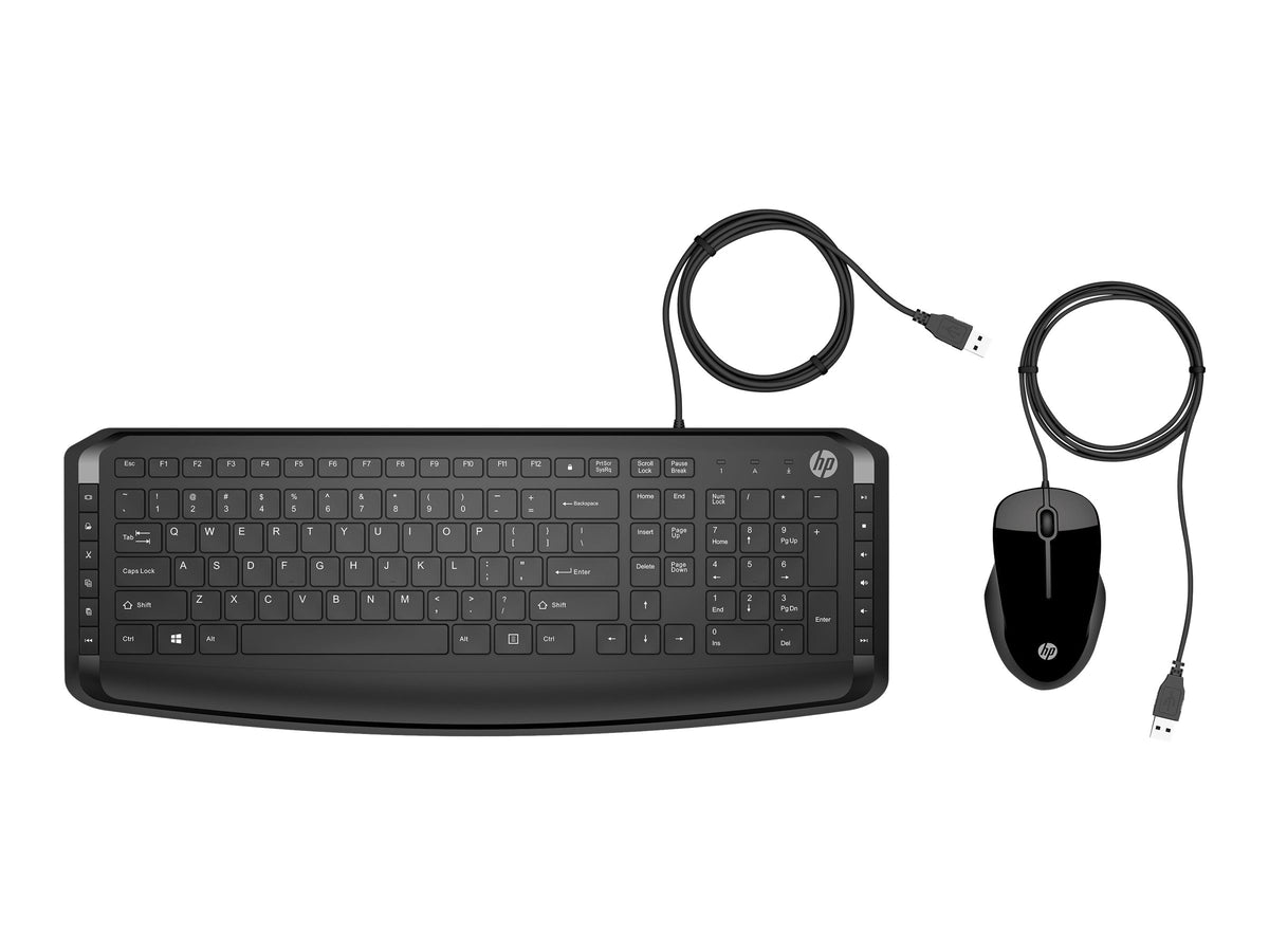 HP Pavilion 200 - Tastatur-und-Maus-Set - USB