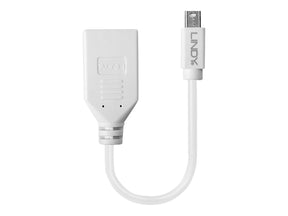 Lindy DisplayPort-Adapter - Mini DisplayPort (M)