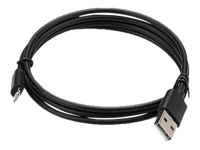 SANDBERG Lightning-Kabel - USB männlich zu Lightning männlich