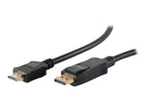 ShiverPeaks BASIC-S - Video- / Audiokabel - DisplayPort (M)