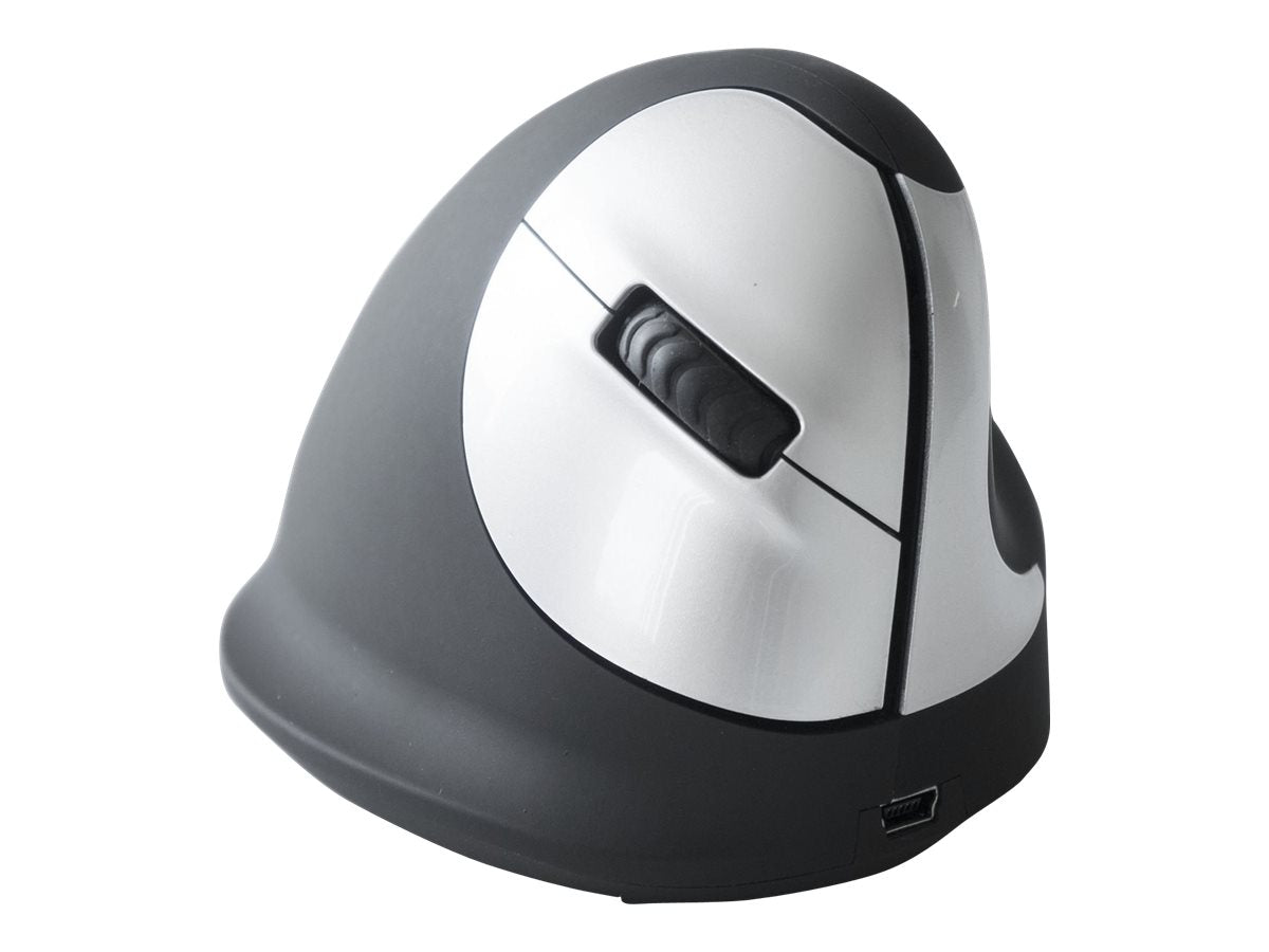 R-Go HE Mouse Ergonomische Maus, Mittel (165-195mm)