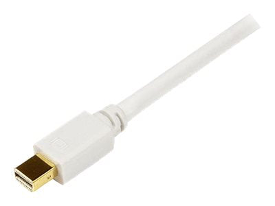 StarTech.com 1,8m Mini DisplayPort auf DVI Kabel (Stecker/Stecker)