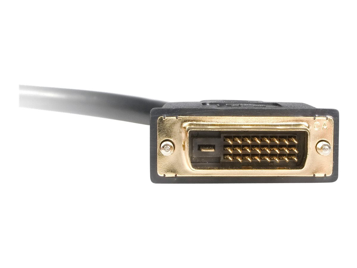 StarTech.com DVI-D auf 2x DVI-D 30cm Splitter Kabel